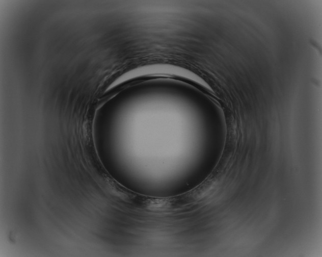 X0000092290088200710051209