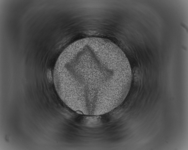 X0000092290089200710051209