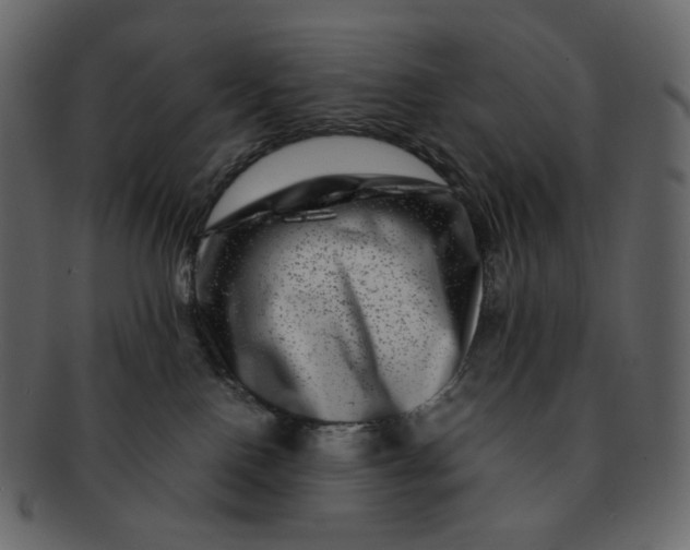 X0000092290090200710051209