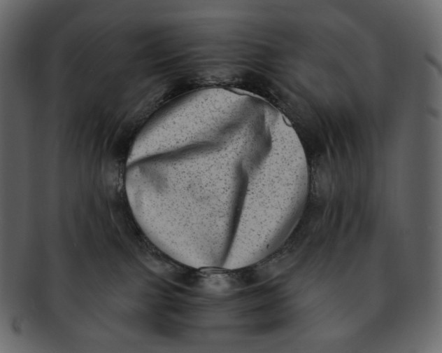 X0000092290091200710051209