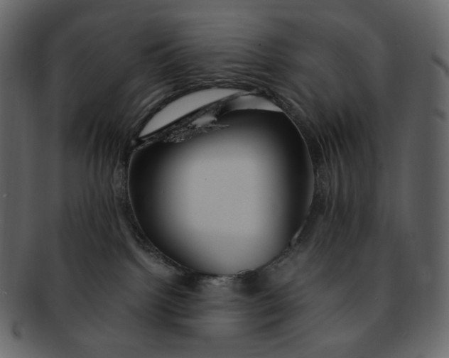 X0000092290092200710051209