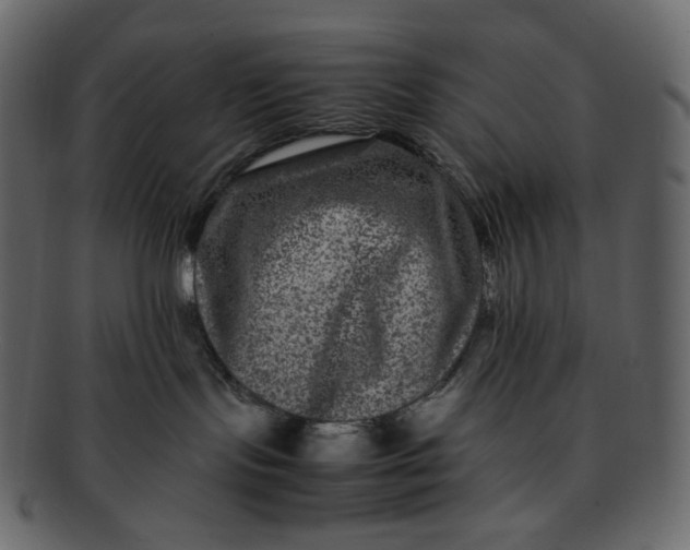 X0000092290095200710051209