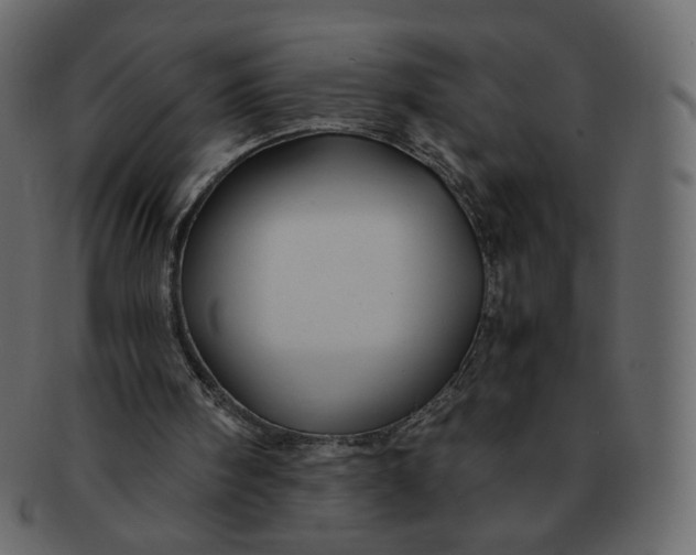 X0000092290098200710051209