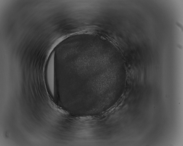 X0000092290100200710051209