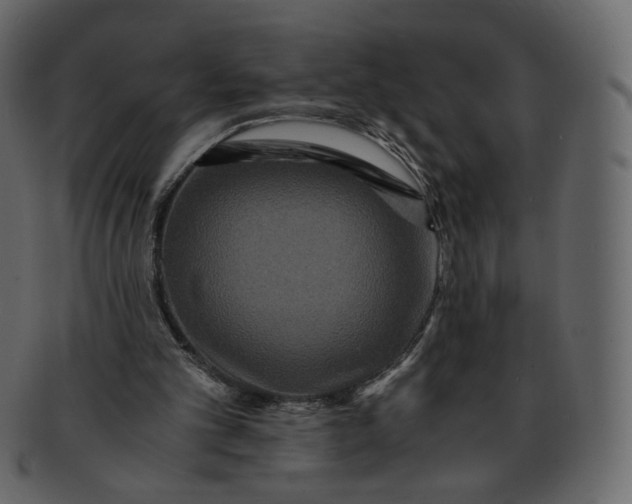 X0000092290101200710051209