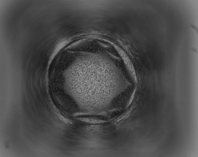 X0000092290102200710051209