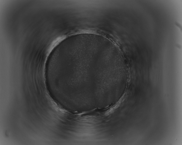 X0000092290104200710051209