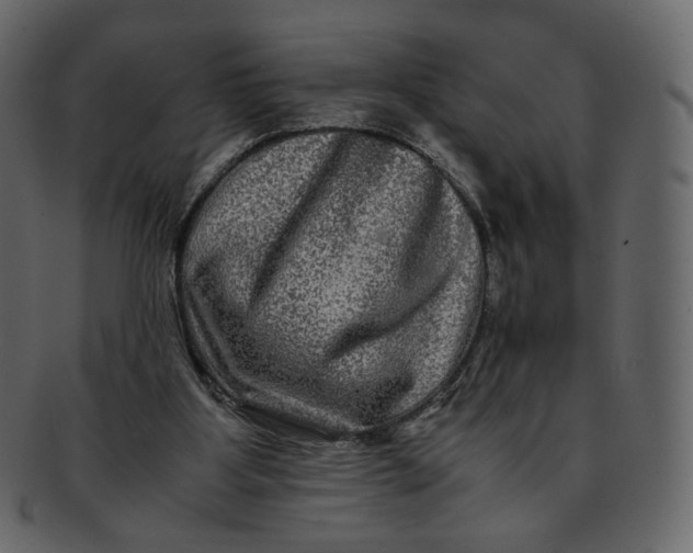 X0000092290107200710051209