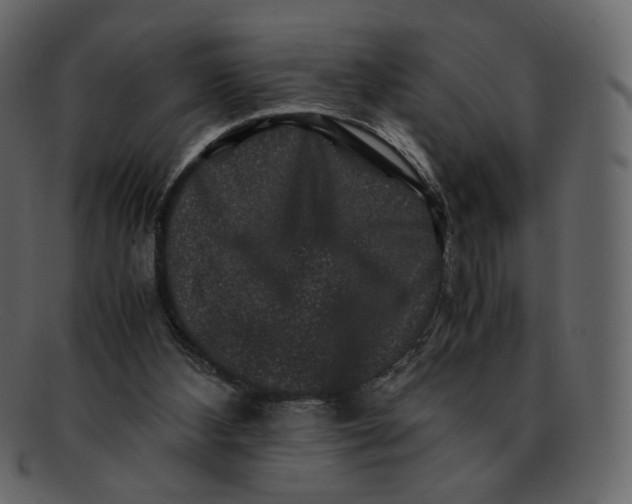 X0000092290108200710051209