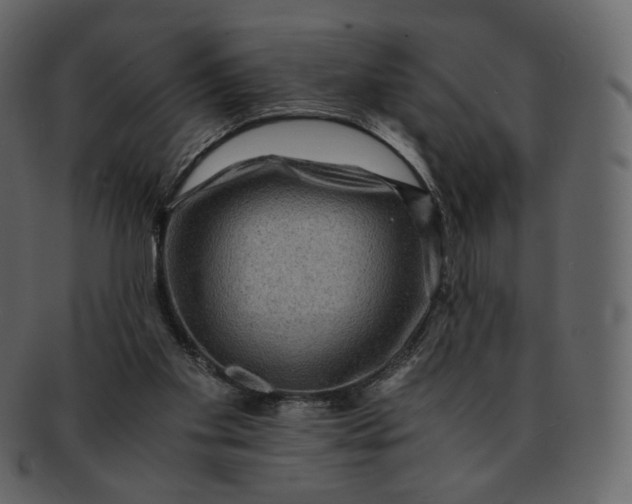 X0000092290109200710051209