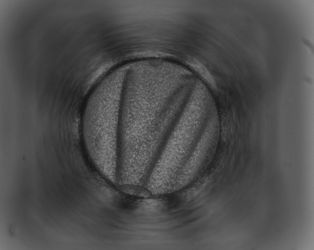 X0000092290111200710051209