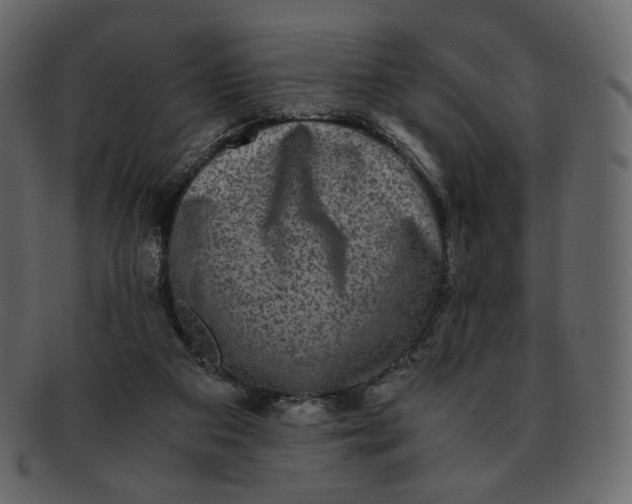 X0000092290113200710051209