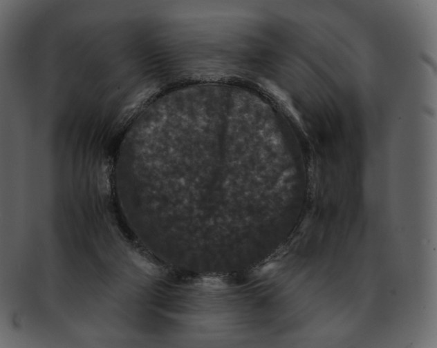 X0000092290114200710051209