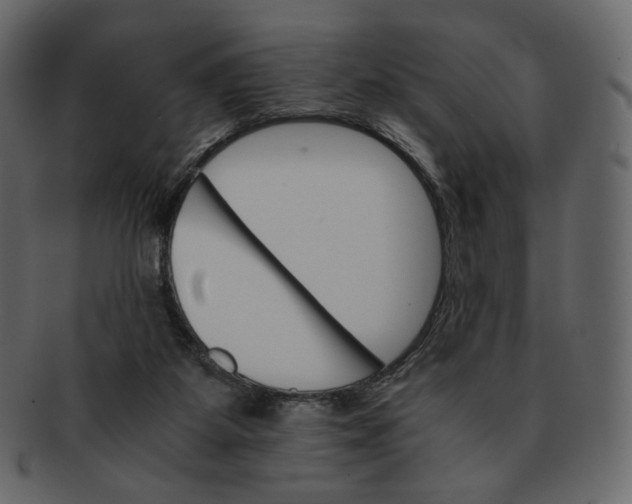 X0000092290115200710051209