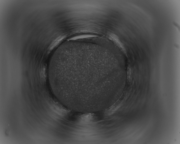 X0000092290116200710051209