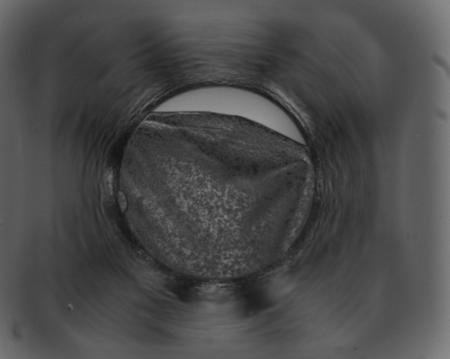 X0000092290117200710051209