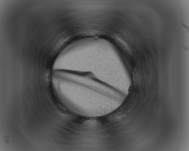 X0000092290119200710051209