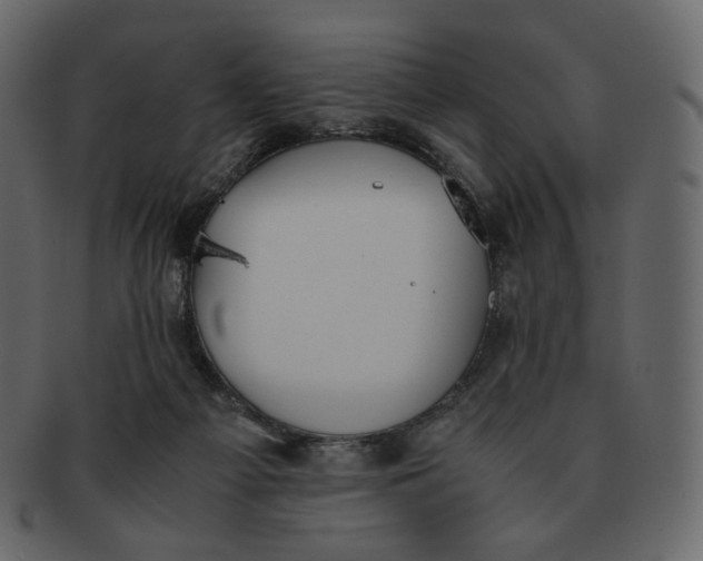 X0000092290121200710051209