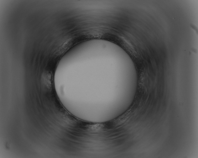 X0000092290122200710051209