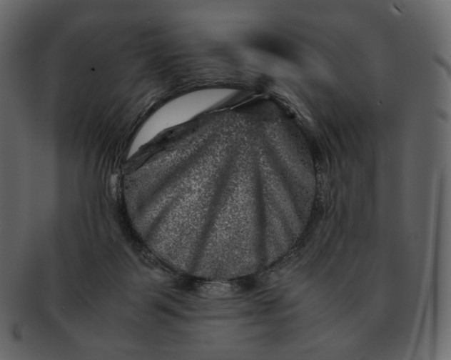 X0000092290123200710051209