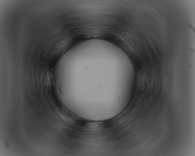 X0000092290126200710051209