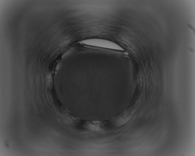 X0000092290127200710051209