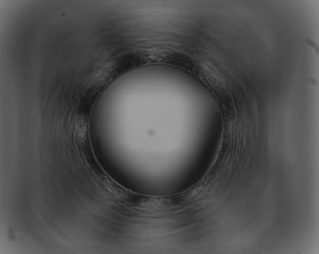 X0000092290129200710051209