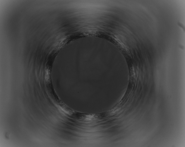 X0000092290130200710051209