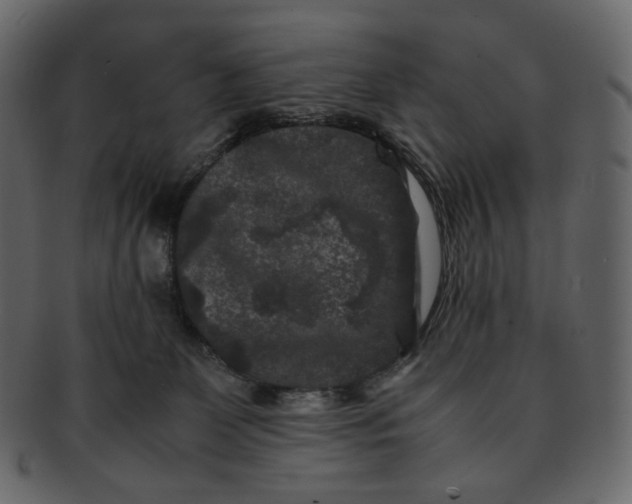 X0000092290131200710051209