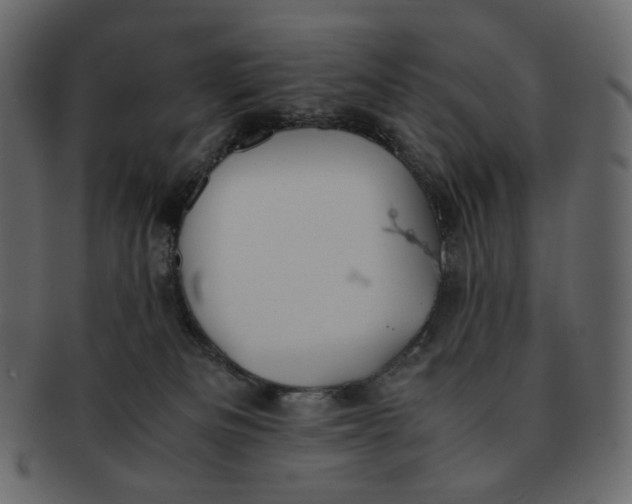 X0000092290133200710051209