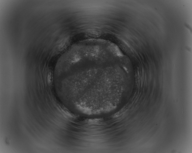 X0000092290134200710051208