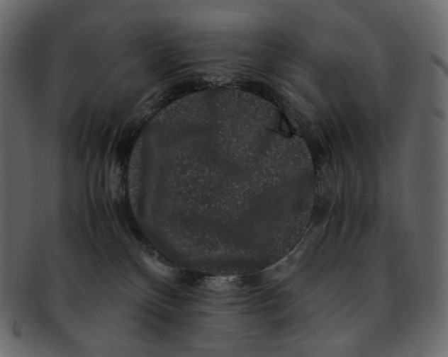 X0000092290136200710051208