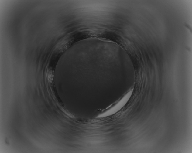 X0000092290137200710051208