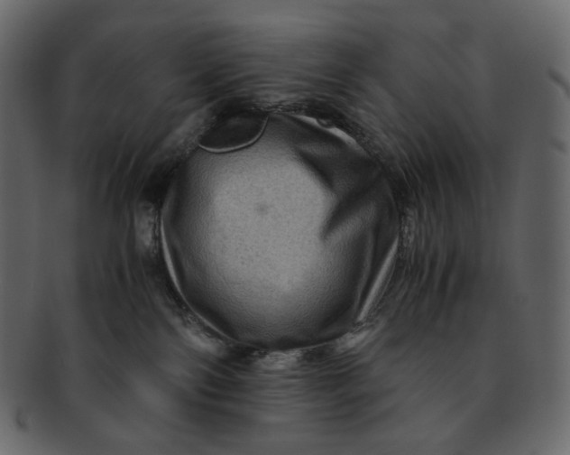 X0000092290138200710051208