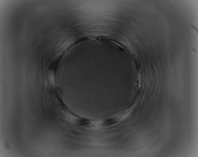 X0000092290143200710051208