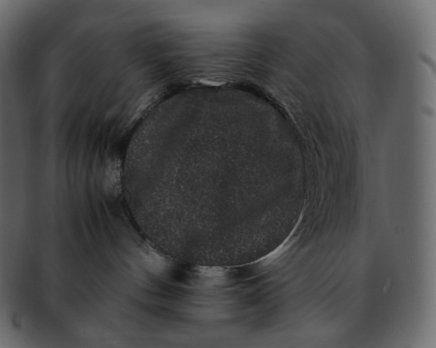 X0000092290144200710051208