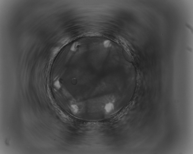 X0000092290145200710051208