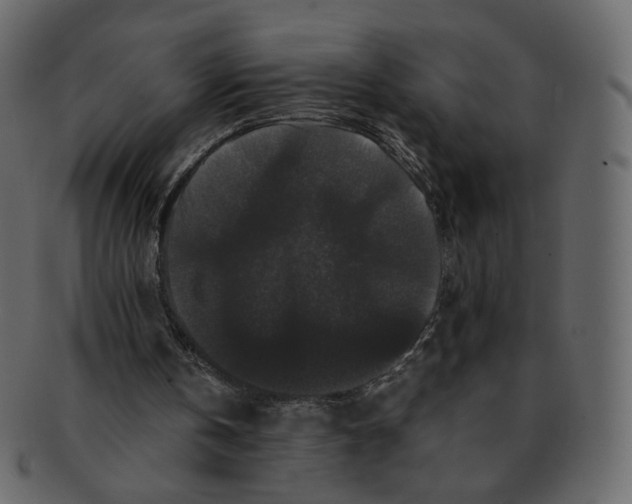 X0000092290146200710051208