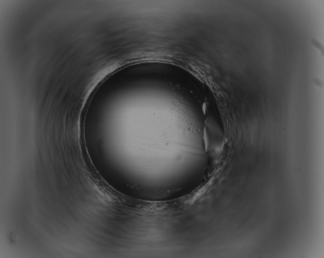 X0000092290148200710051208