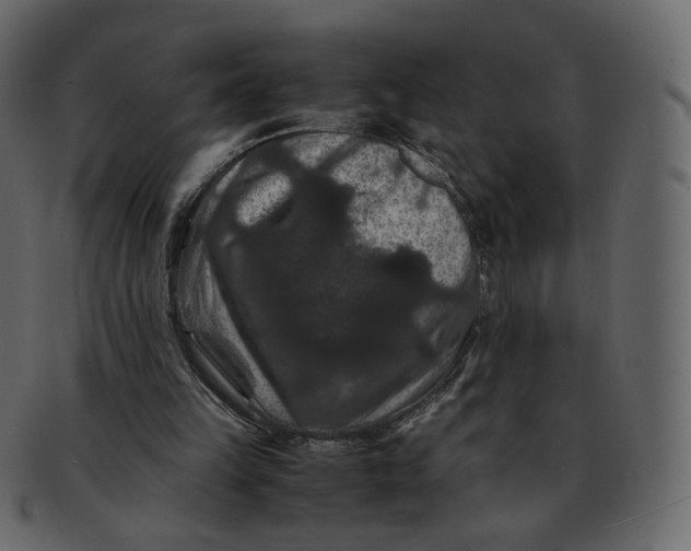 X0000092290149200710051208