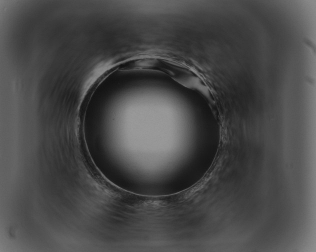 X0000092290152200710051208