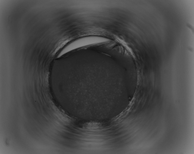 X0000092290154200710051208