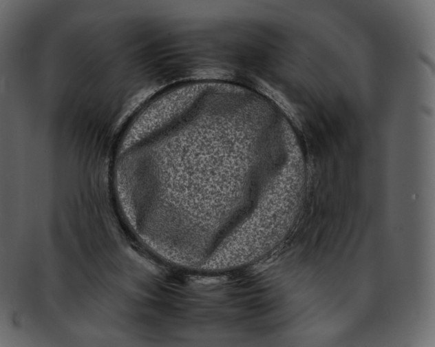 X0000092290155200710051208