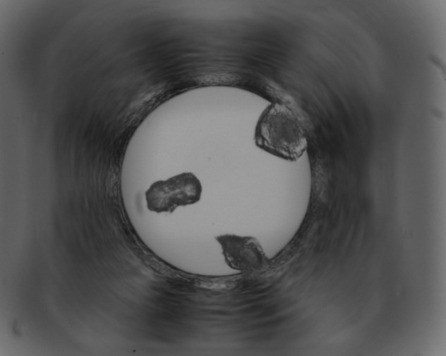 X0000092290161200710051208