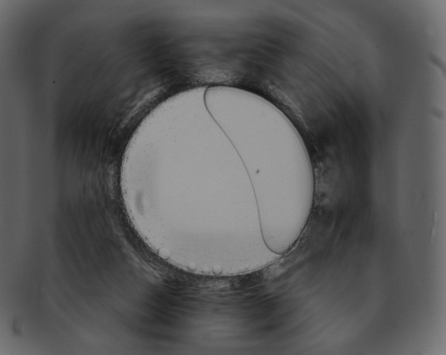 X0000092290162200710051208