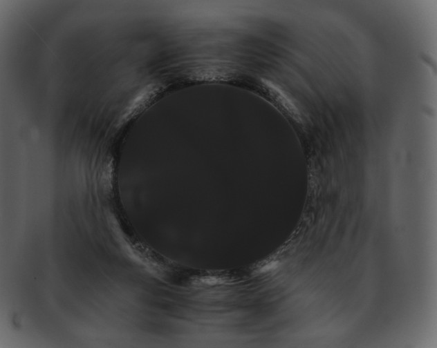 X0000092290163200710051208