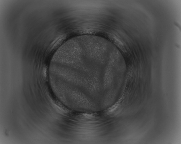 X0000092290166200710051208