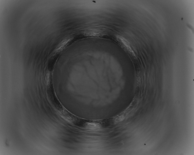 X0000092290167200710051208