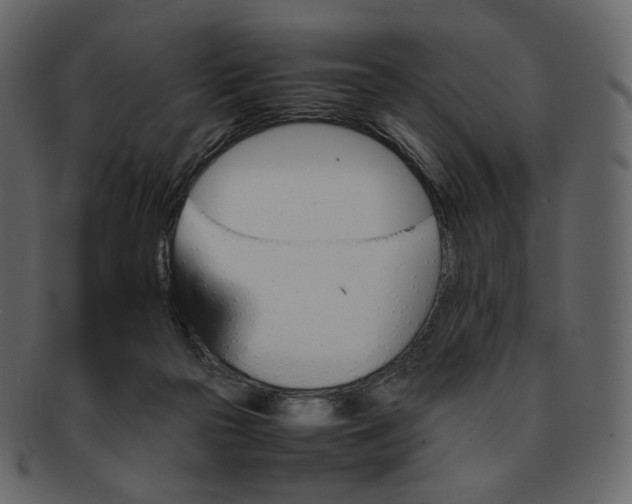 X0000092290169200710051208