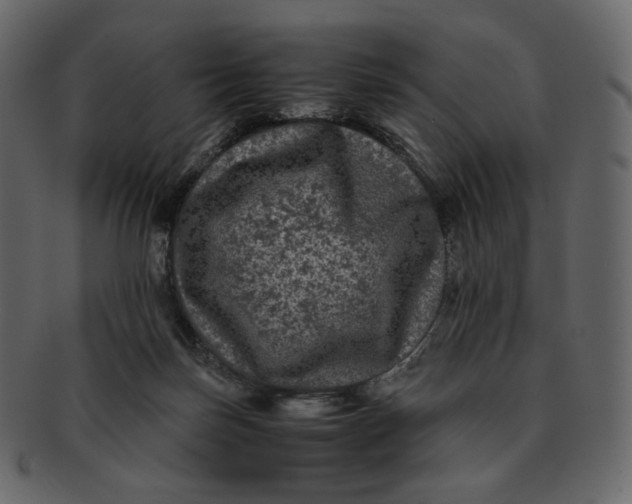 X0000092290171200710051208